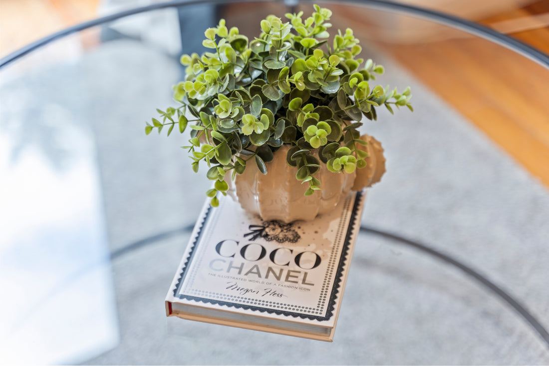 Green plant and book styled on glass coffee table