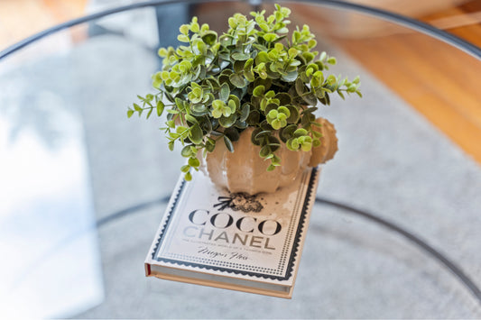 Green plant and book styled on glass coffee table