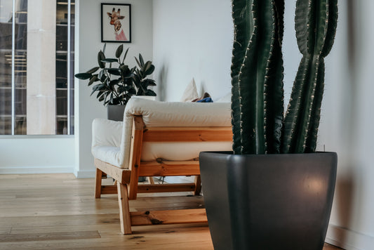 apartment room with chair and plants 