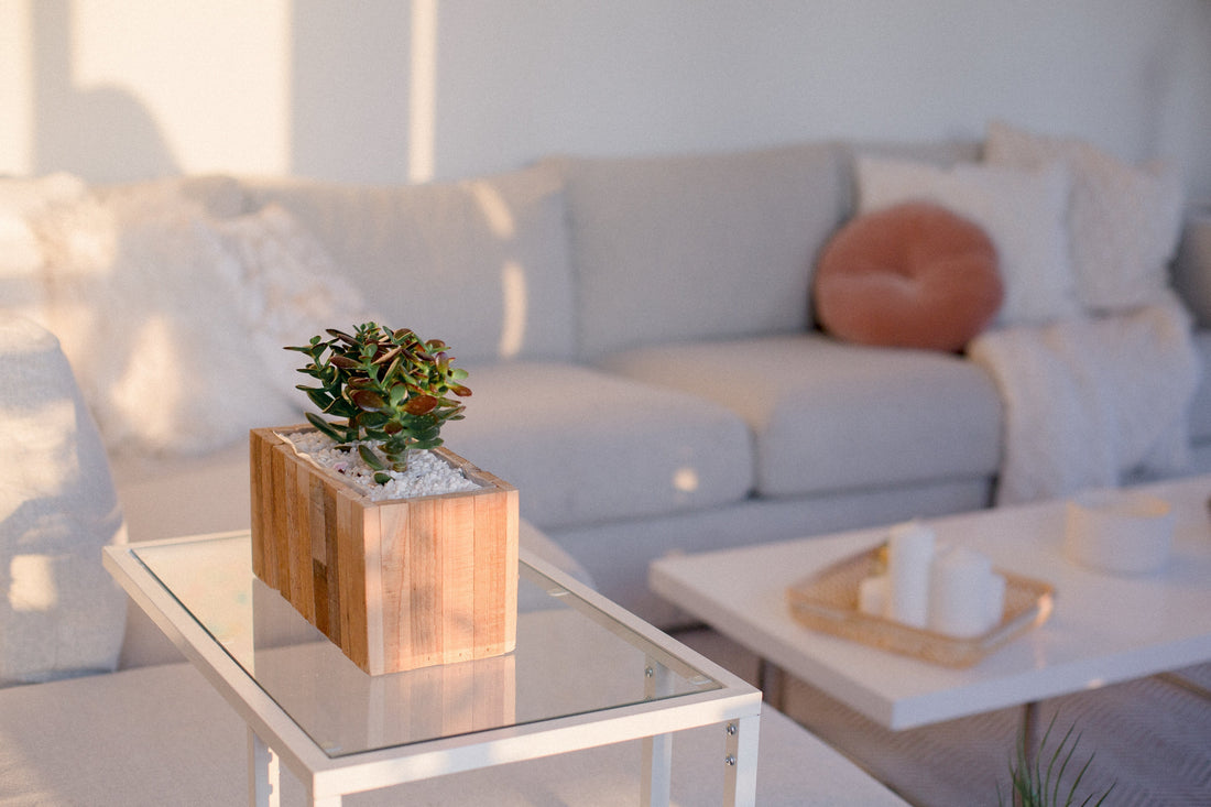 living room with sofa plant and candle decorations 
